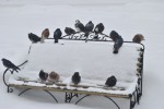 На лавочке На лавочке