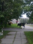 Фотография 2 Фотография 2