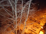 А из нашего окна вот такая красота (Сковытина Наталья) А из нашего окна вот такая красота (Сковытина Наталья)