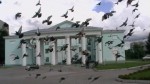 Белых-белых голубей счастья ждет страна, где бывали там и ты и я! (Людмила Лебедева) Белых-белых голубей счастья ждет страна, где бывали там и ты и я! (Людмила Лебедева)