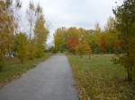 Дивная тропа для дивного городка (Ростовшикова Наталья) Дивная тропа для дивного городка (Ростовшикова Наталья)