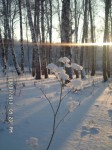 Луч света (Новокшонова Елена) Луч света (Новокшонова Елена)
