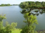 Манит и нежно, и лукаво Чулыма золотое дно. Казалось. дотянусь руками, но как обманчиво оно. Манит и нежно, и лукаво Чулыма золотое дно. Казалось. дотянусь руками, но как обманчиво оно.