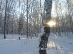 Немного солнца (Новокшонова Елена) Немного солнца (Новокшонова Елена)