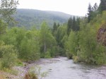 Таежная речка (Богодомова Елена) Таежная речка (Богодомова Елена)