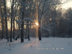 Зимнее солнце (Новокшонова Елена) Зимнее солнце (Новокшонова Елена)