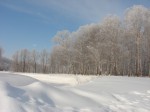 Зимний пейзаж (Мария Бляхер) Зимний пейзаж (Мария Бляхер)