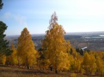 Золотая осень Сибири (Смахтина Татьяна) Золотая осень Сибири (Смахтина Татьяна)