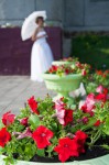 Фотография 16 Фотография 16
