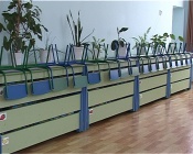 ��� ������� ������� �� ��������