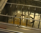 ���� �������� �������� �� ������� ������������ ��� ����������� �������� ��������