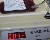 ����� �������� ������� �������� ��������