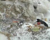 ������� �� ����� ������ � �������� �������� ������� �������� �������������