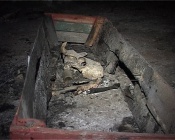 ���� �� � �������� ����� ����������?