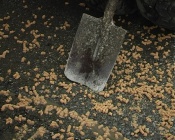 �������� � ���������� ��� �������� ��� �����