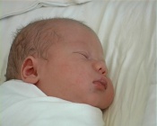 � ����� � �������� �������� 87 �����, �� ��� ������� ����� ��������� 