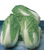 ��������� �������