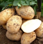 ��������� �� �� ����������� ���������