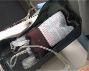 � �������� ������� ������� ����������� ��������� �����