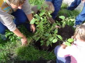 � ������� � ������