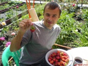 �������� ����� ���