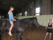 �� ���������� ��������� �������� ���������� �����������  ��������������� �������