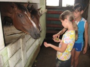 �� ���������� ��������� �������� ���������� �����������  ��������������� �������