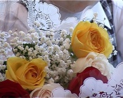 � �������� ��� ���� ����� ���������� ��������� ������