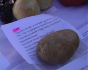 � �������� ������ �������� ������