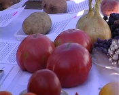 � �������� ������ �������� ������