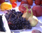 � �������� ������ �������� ������