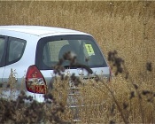 � ������� ������� �� ���������� ��������- ��������� ��������� ���