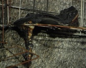 � �������� � �������� ������ ��������� �����