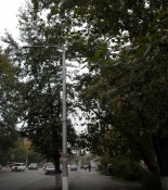 ������������ �� ����������