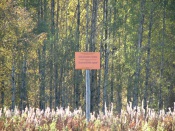 �������� ������������ ������ ����������� �� ���� �����