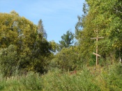 �������� ������������ ������ ����������� �� ���� �����