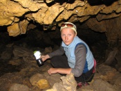 �������� ������������ ������ ����������� �� ���� �����