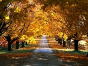 �������� ��� ����������  ��� ���� ������ ������