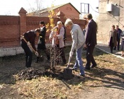 � ���������� ����������� ����� �������� �������� ����� ��� ���������