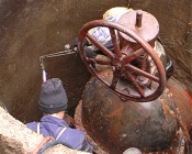 � ��������� ������ �� ��� ������ ����������� �������������