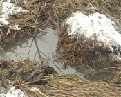 � �������� ��� ���� �������� ��� �������