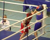 � ������� �������� �������� 14 �������� ����