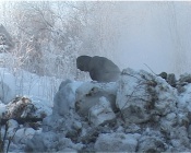 � �������� ���������� ������ ���� ���������