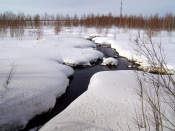 � ����� � �������� ��� �������� ������