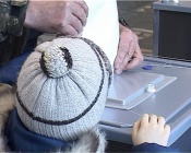 �� ����� ����������� � �������� ������ ����������