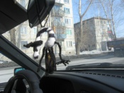 � � ������� � �����