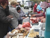 ���� �������������������