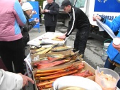 ���� �������������������