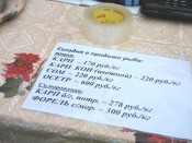 ���� �������������������