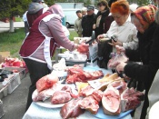 ���� �������������������